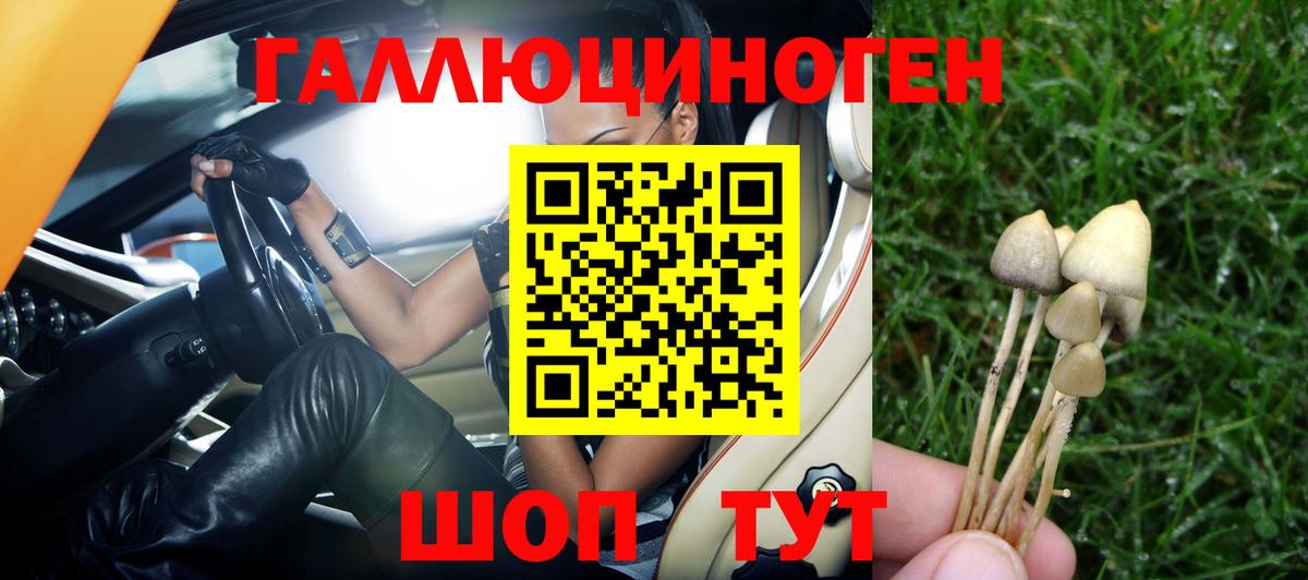 Галлюциногенные грибы прущие грибы Нефтекумск